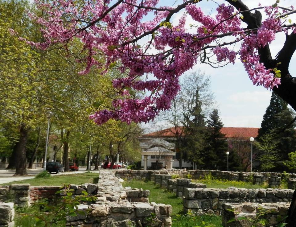 Апартамент 13 Hisarya Esterno foto